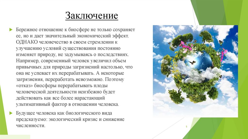 Заключение