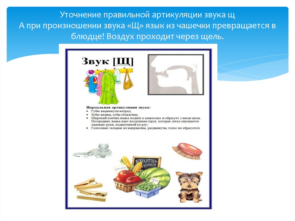 Уточнение правильной артикуляции звука щ А при произношении звука «Щ» язык из чашечки превращается в блюдце! Воздух проходит
