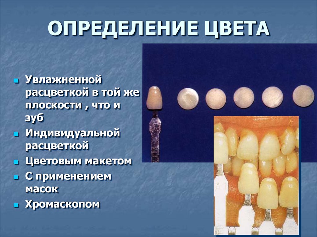 4 класс по блэку презентация