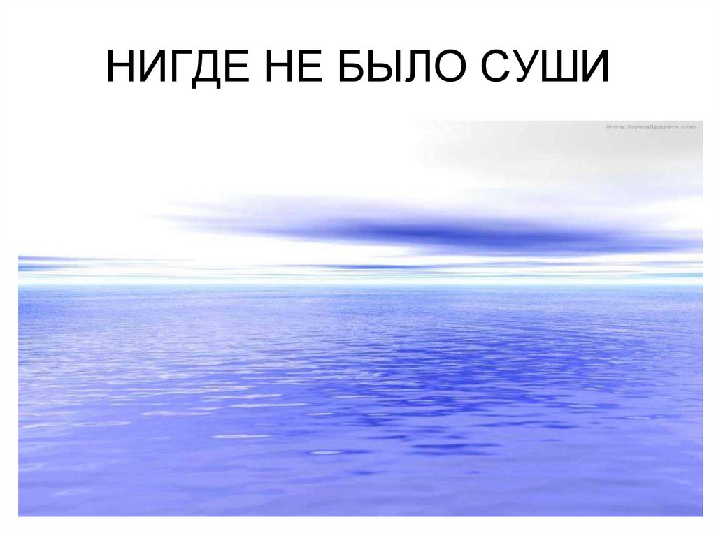 НИГДЕ НЕ БЫЛО СУШИ