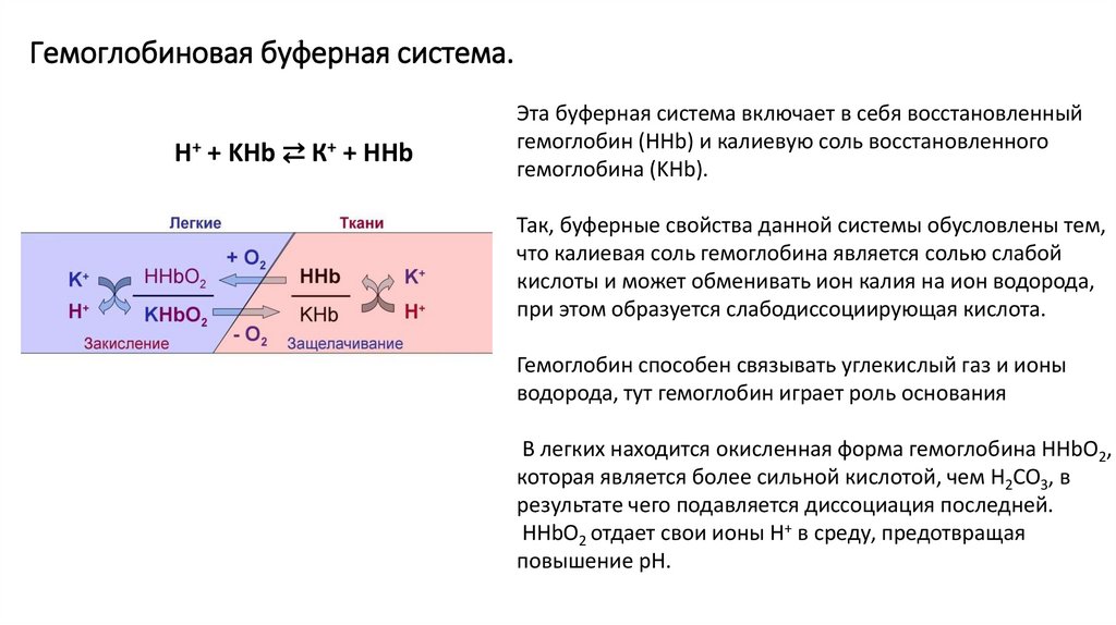 Кислотно-основное равновесие - online presentation