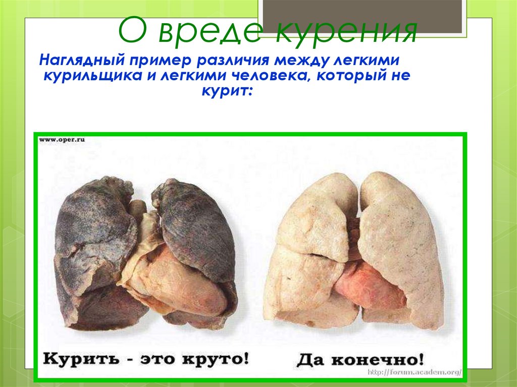 О вреде курения