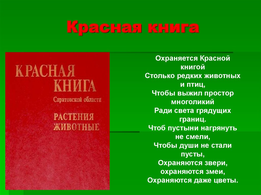 Красная книга саратовской области птицы