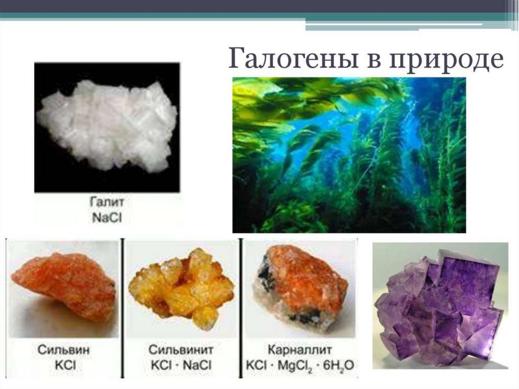 Галогены 8 класс химия презентация