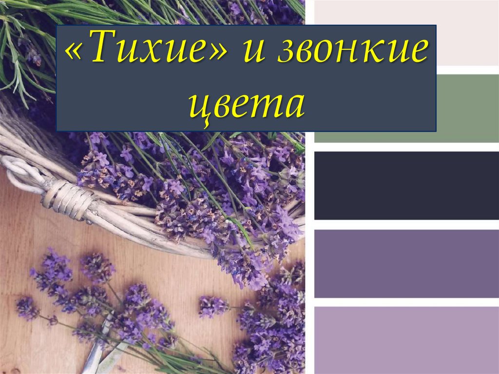 Урок цветов. Тихие и звонкие цвета. Тихие и звонкие цвета изо. Глухие и звонкие цвета. Тихие цвета презентация.