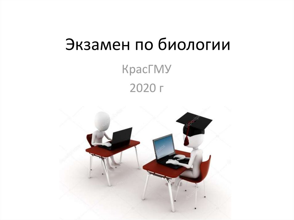 Экзамен по биологии. Консультация по биологии. Консультация биология.