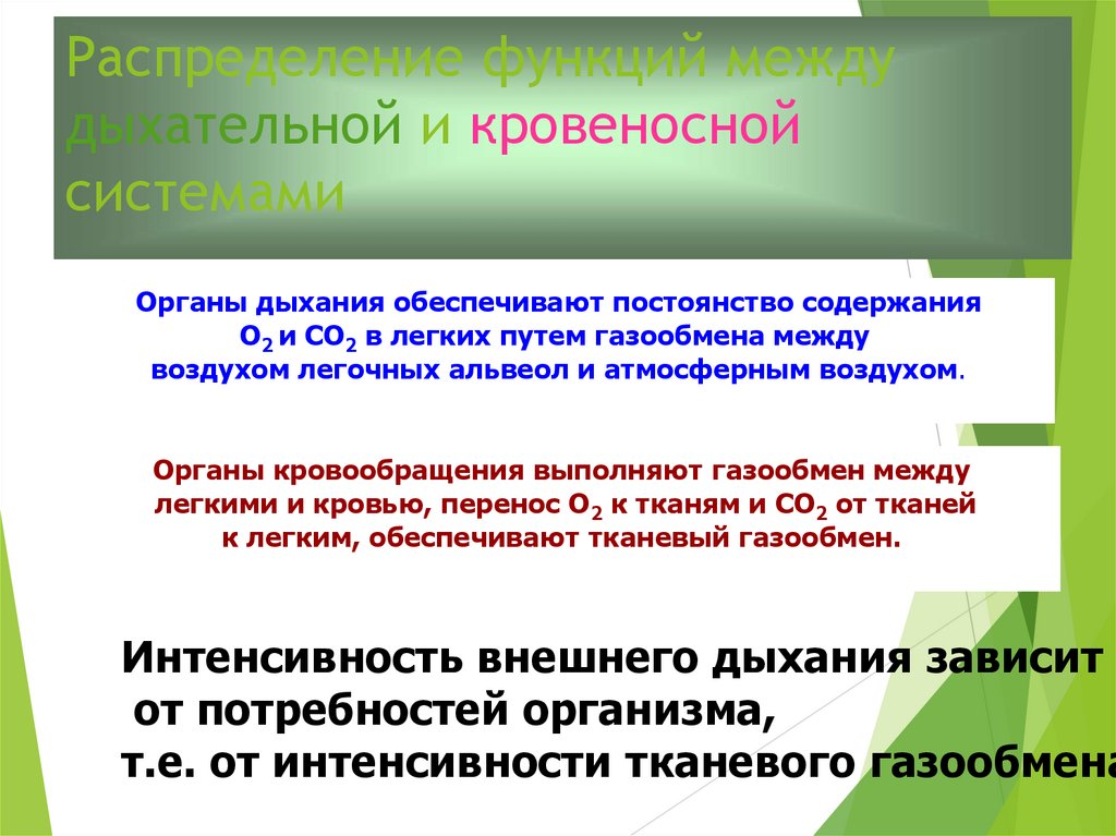 Как распределяются функции между дыхательной и кровеносной. Связь между дыхательной и кровеносной системами. Как распределяются функции между дыхательной и кровеносной системы. Как распределяются функции между между дыхательной и кровеносной. Как связаны между собой дыхательная системы.