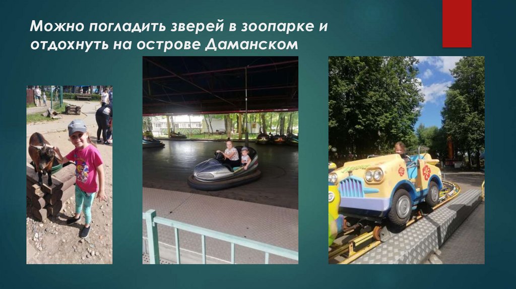 Можно погладить зверей в зоопарке и отдохнуть на острове Даманском