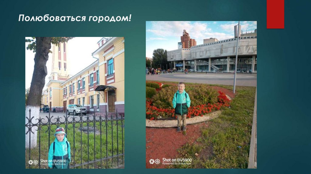 Полюбоваться городом!