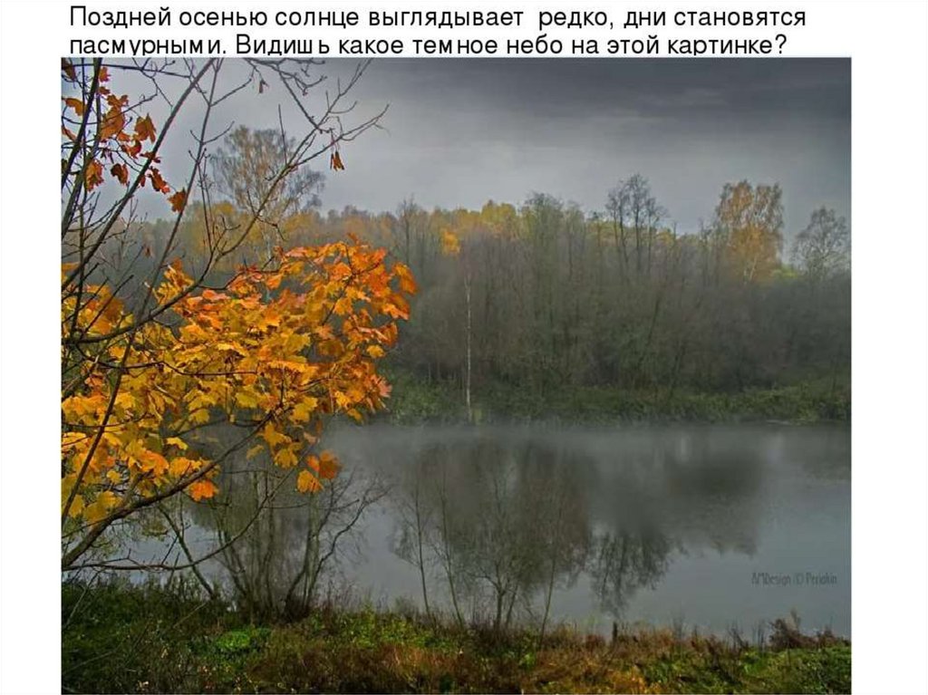 Осенью дни становятся. Пасмурный осенний день. Осень пасмурный день. Пасмурные дни осенью. Хмурый осенний день.