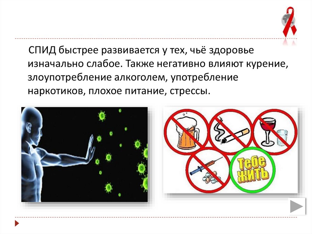 Нетворк спид