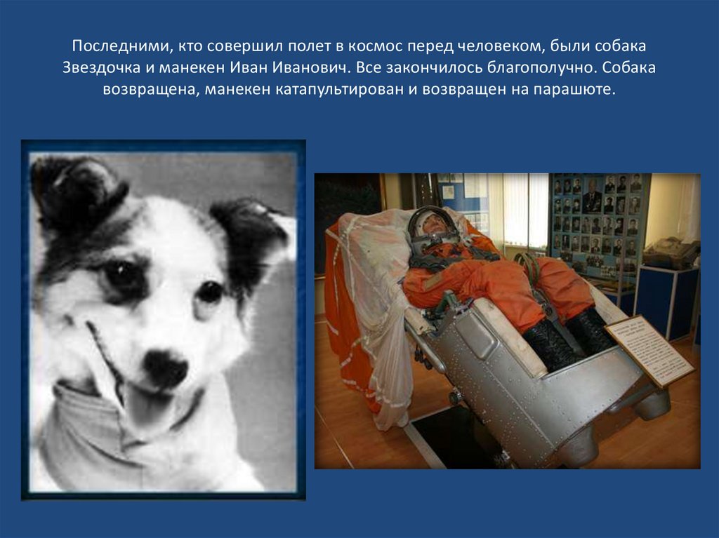 Последними, кто совершил полет в космос перед человеком, были собака Звездочка и манекен Иван Иванович. Все закончилось