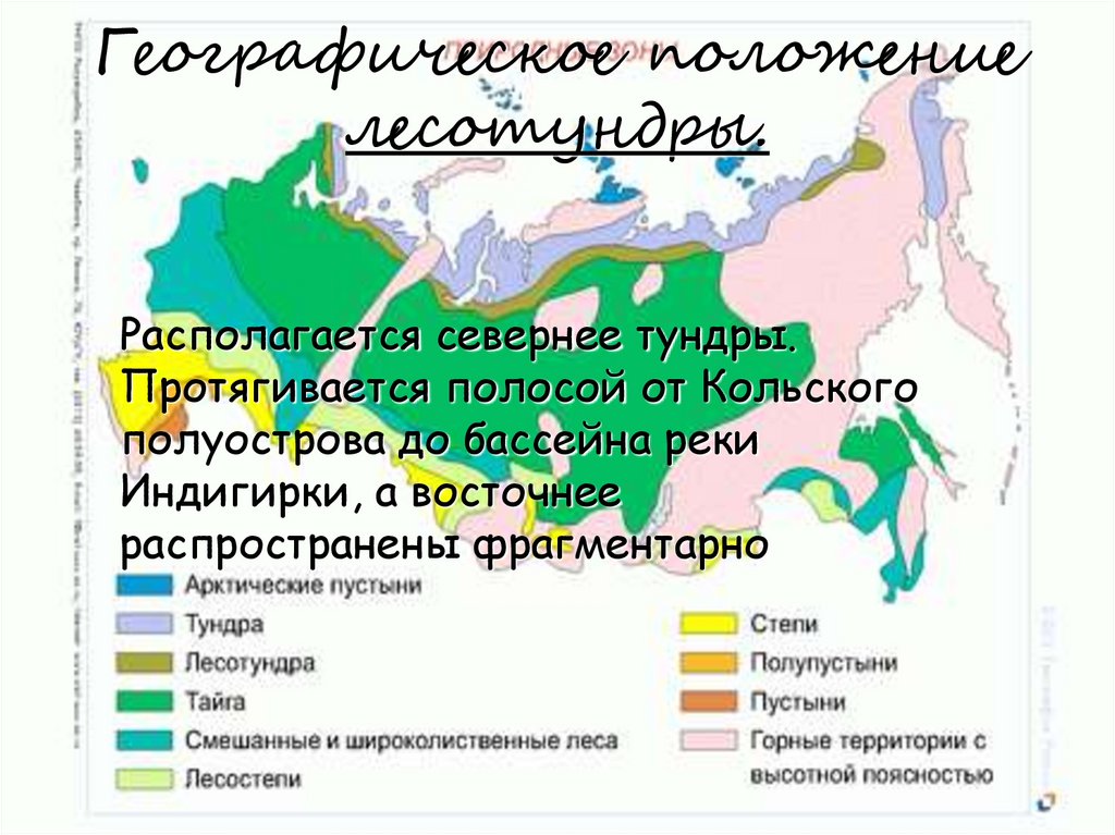 С какими природными зонами граничит тундра. Географическое расположение тундры на карте. Географическое положение лесотундры в России на карте. Зона тундра на карте России расположена. Тундра и лесотундра географическое положение.