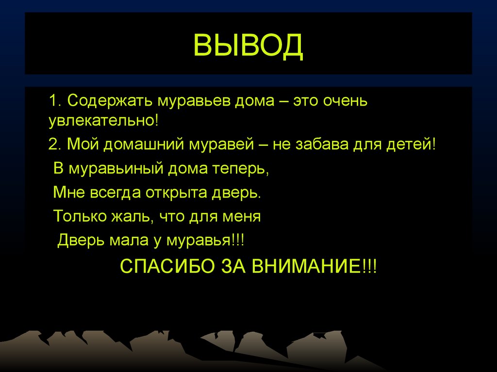 Муравьи - домашние животные - презентация онлайн