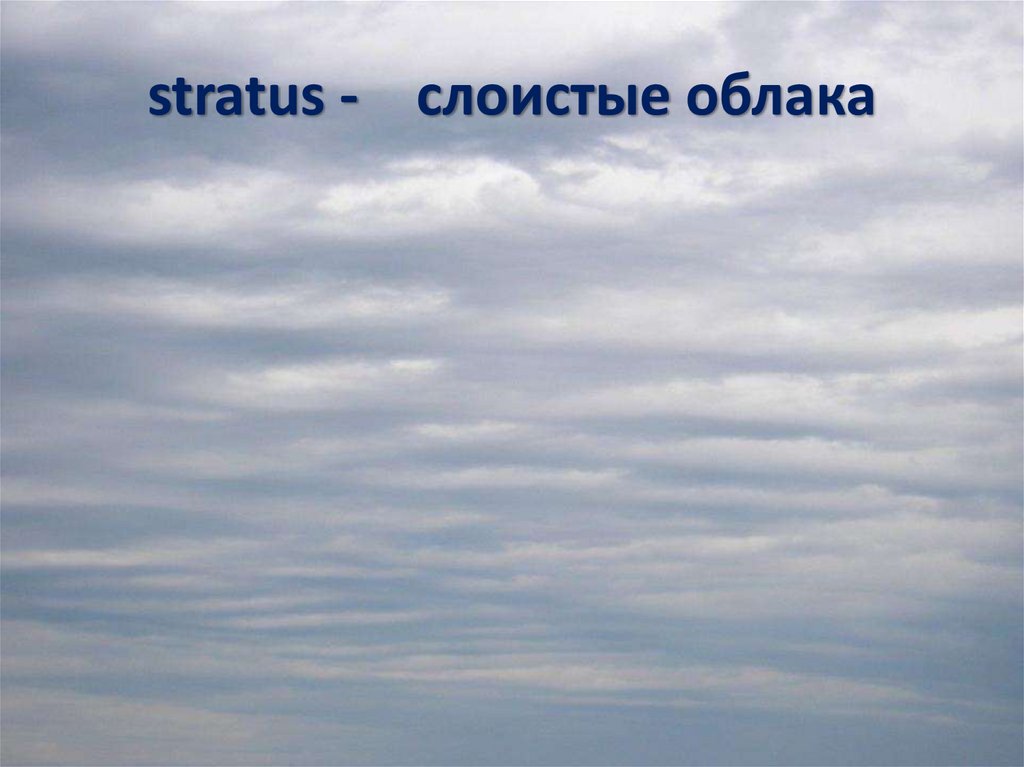 Слоистые облака осадки. Причина образования слоистых облаков. Слоистые облака на карте. Серые Слоистые облака, скрывающие солнце.