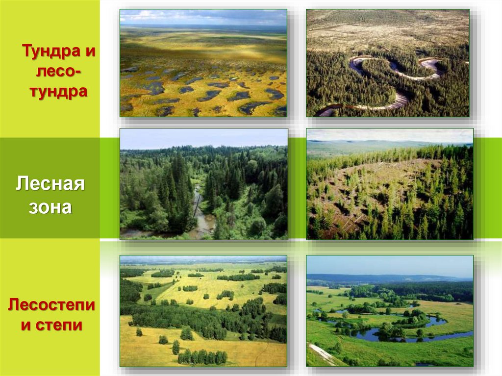 Западно сибирская равнина какая природная зона. Лесостепная зона Западно сибирской равнины. Степи и лесостепи. Природные зоны России лесостепи. Природные зоны степи и лесостепи.