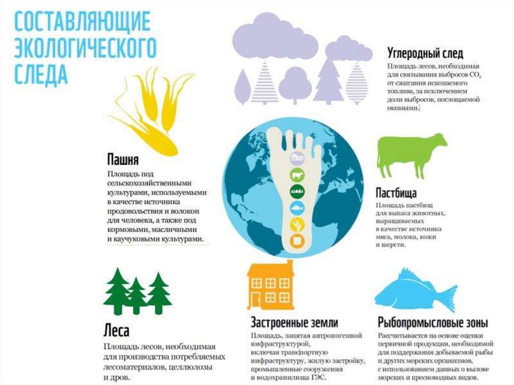 Экологический след и индекс человеческого развития презентация