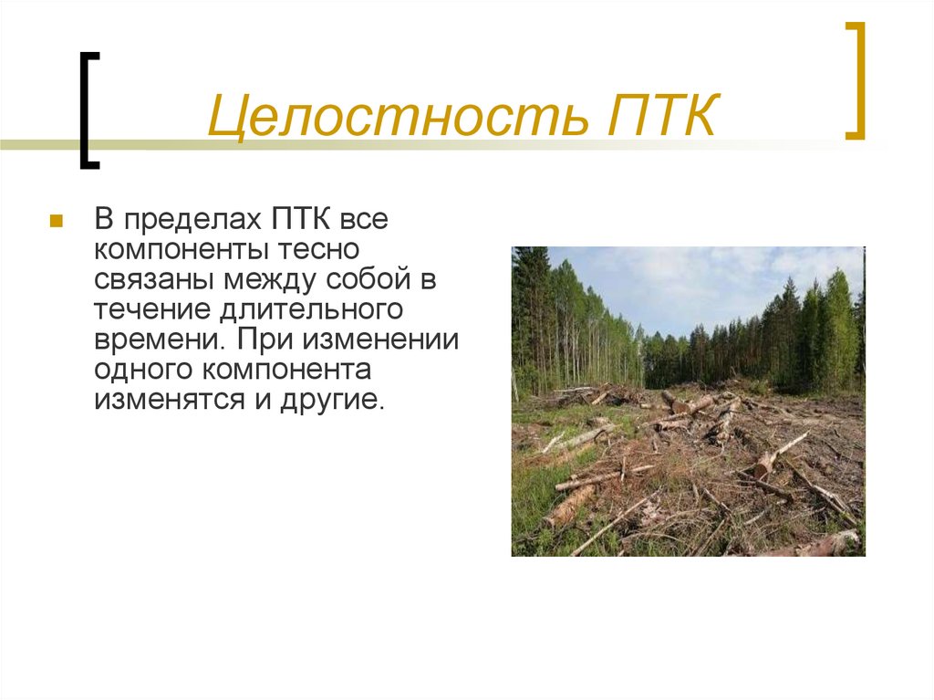 Целостность ПТК