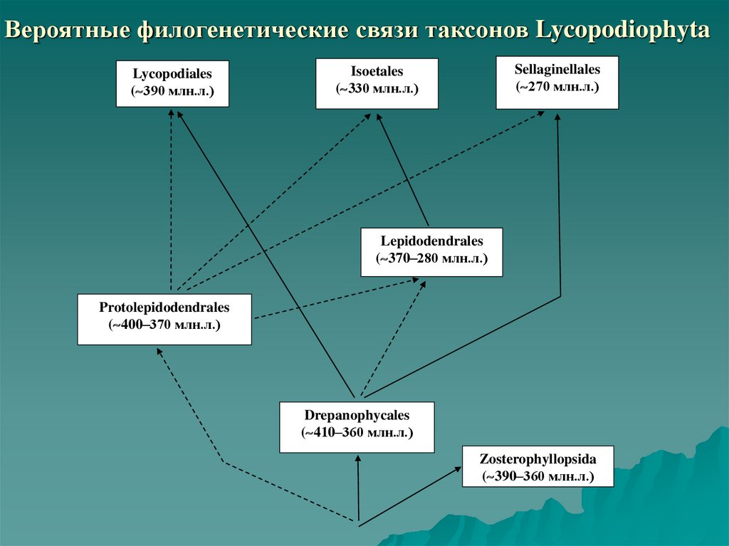 Отдел разделить