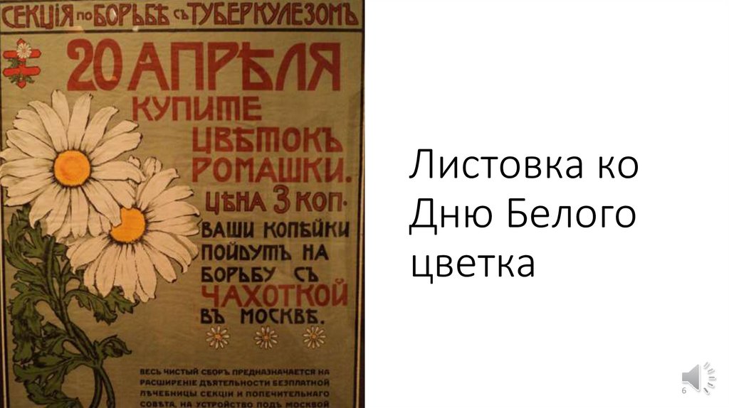 Листовка ко Дню Белого цветка