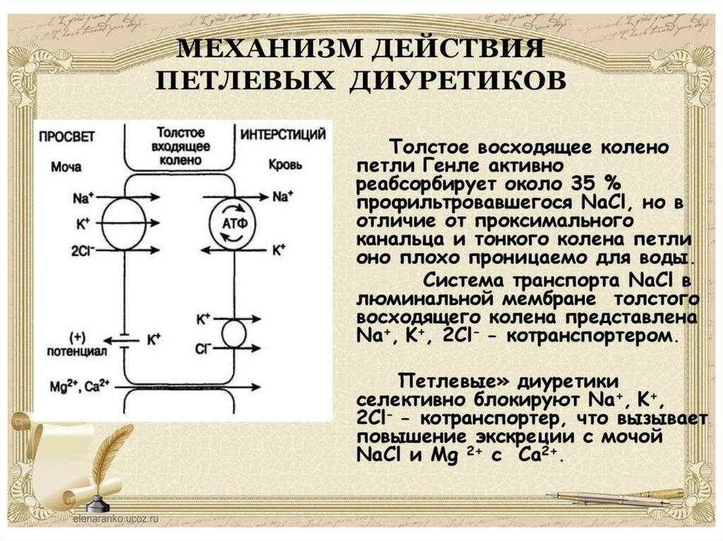 Бра диуретики