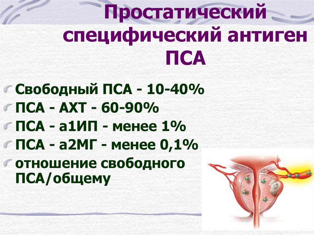 Специфический анализ. Простатический специфический антиген. Простатический специфический антиген (пса). Направление бланк простатический специфический антиген. Простатический специфический антиген презентация.