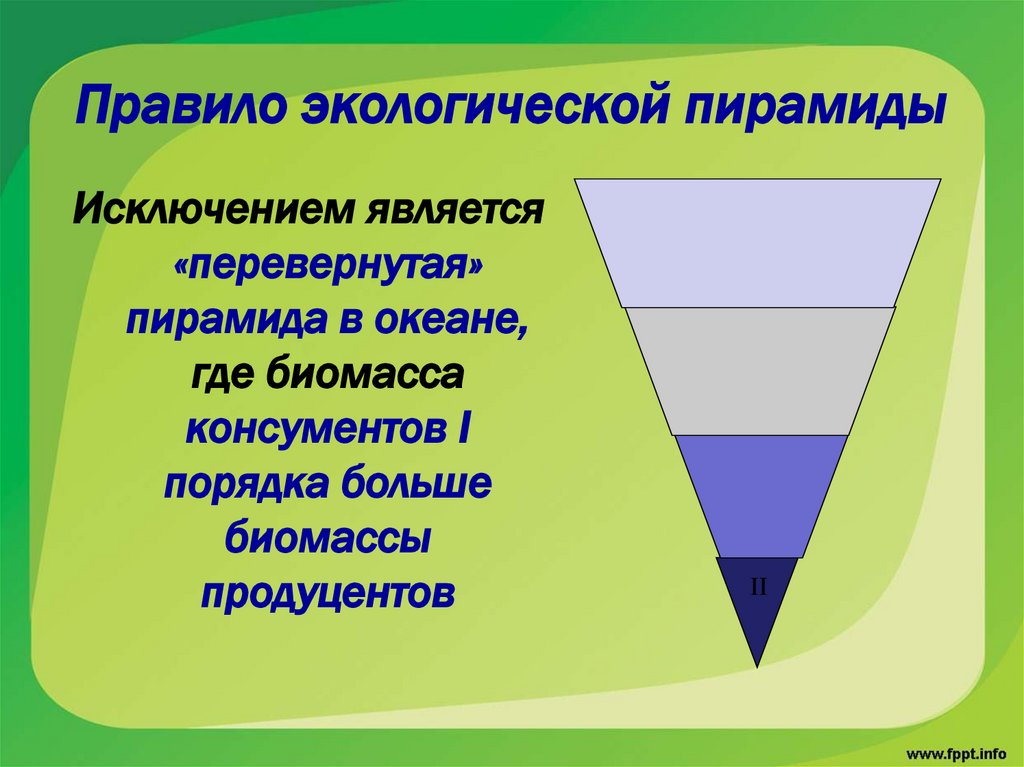 Правило экологической пирамиды
