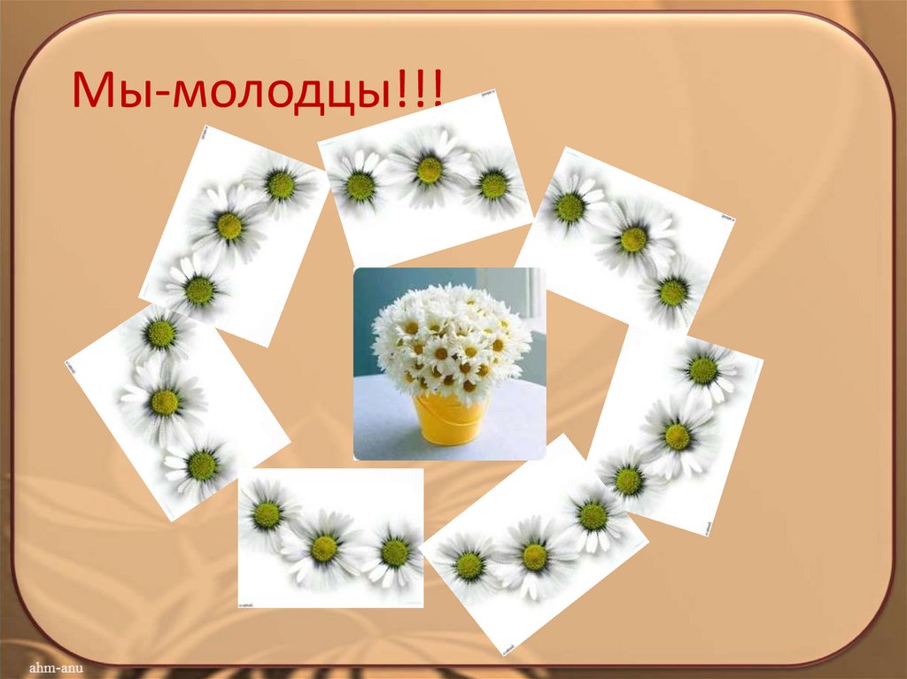 Мы-молодцы!!!