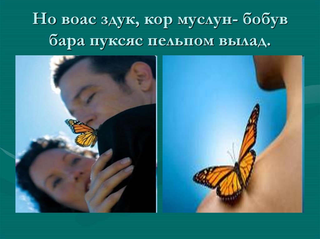 Но воас здук, кор муслун- бобув бара пуксяс пельпом вылад.