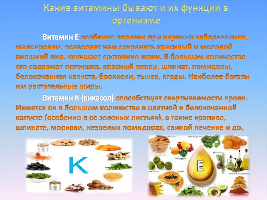 Какие витамины бывают и их функции в организме