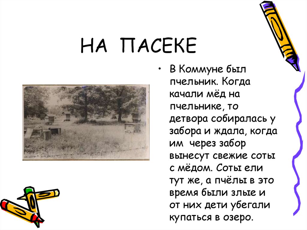 НА ПАСЕКЕ