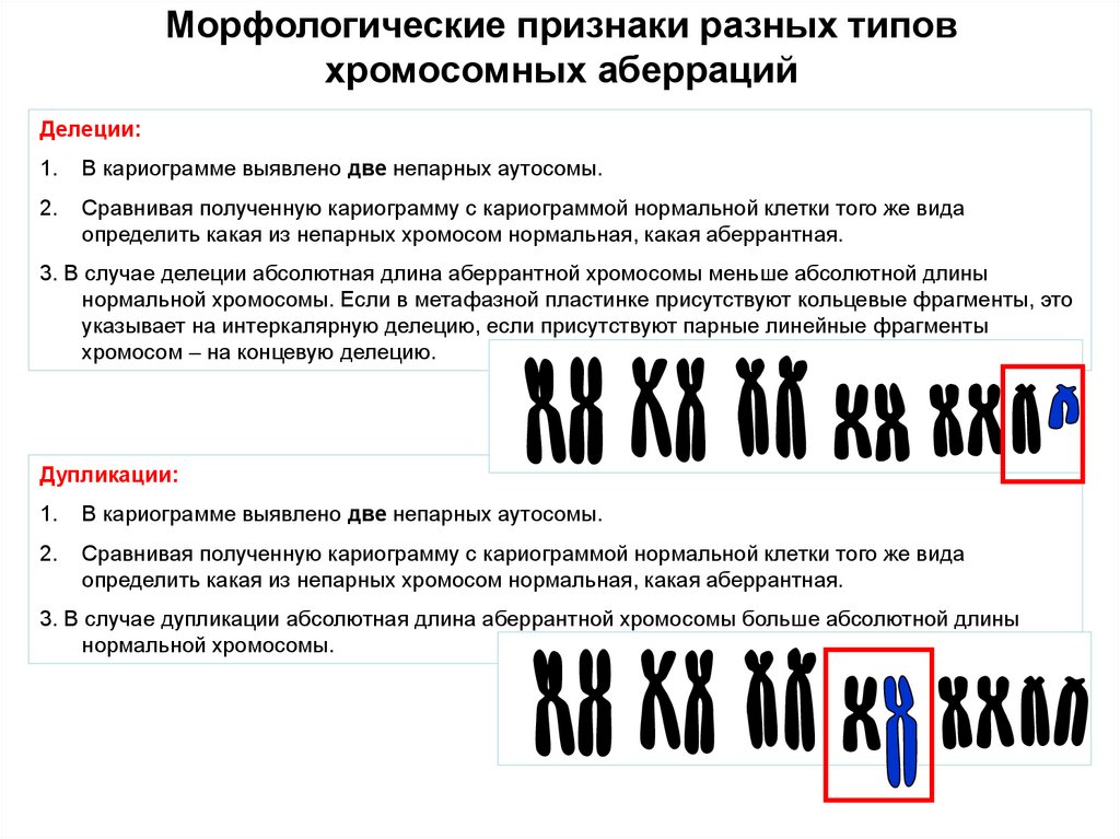 Хромосомные аберрации