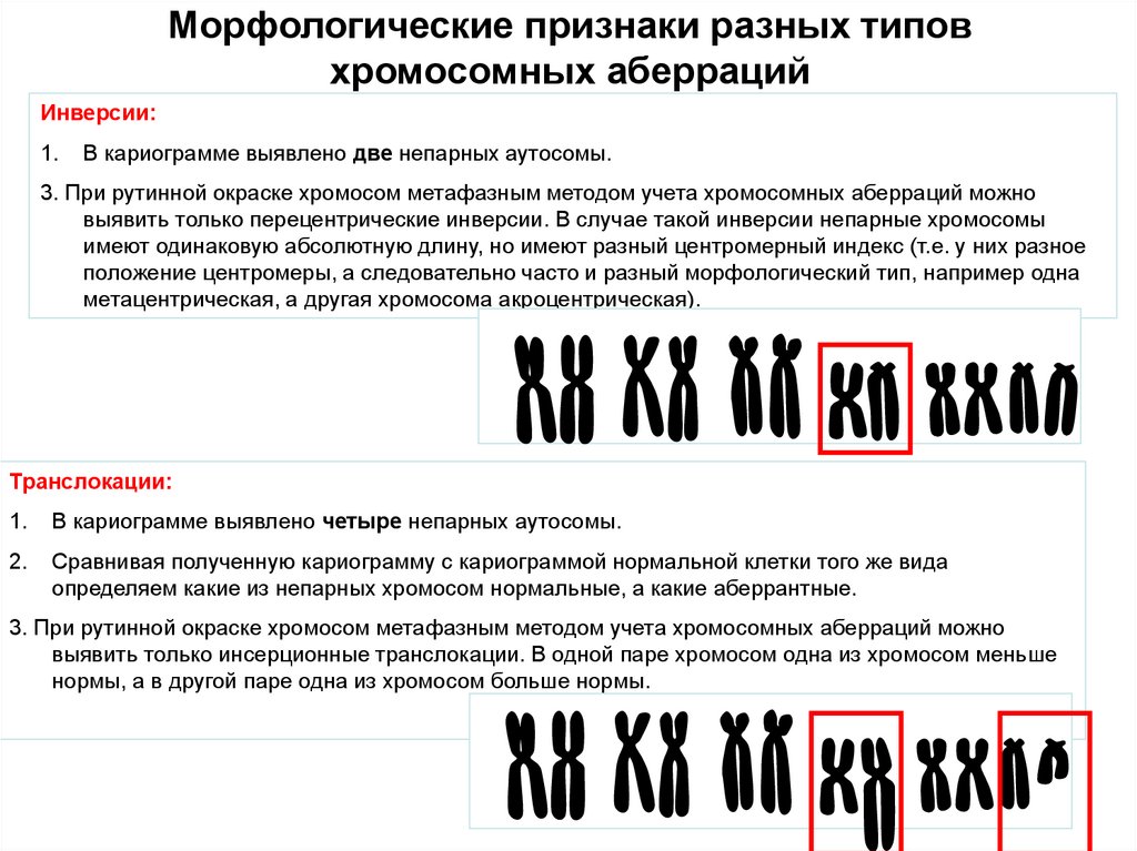 Хромосомные аберрации