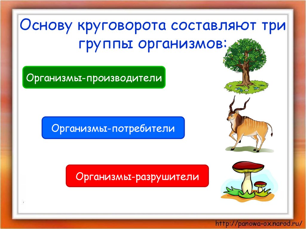 Животные окружающий мир 3 класс плешаков презентация