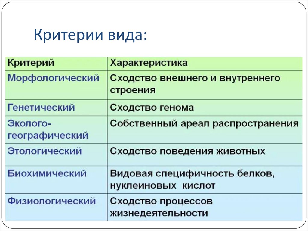 Вид критерии правильный ответы