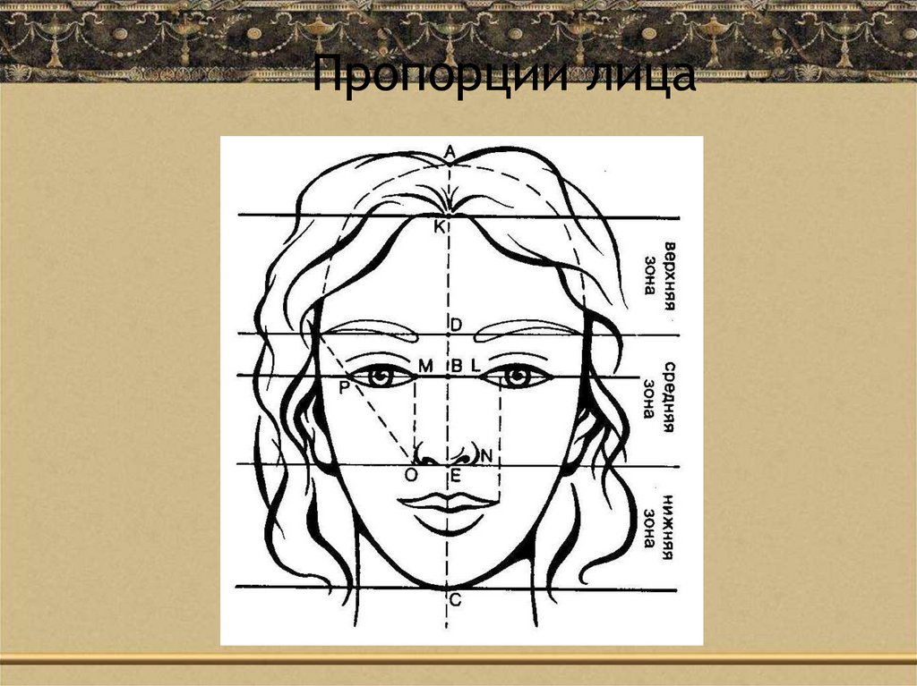 Поэтапное рисование портрета 3 класс презентация. Пропорции лица. Пропорции человека изо 7 класс. Пропорции лица для рисования. Портрет пропорции лица.