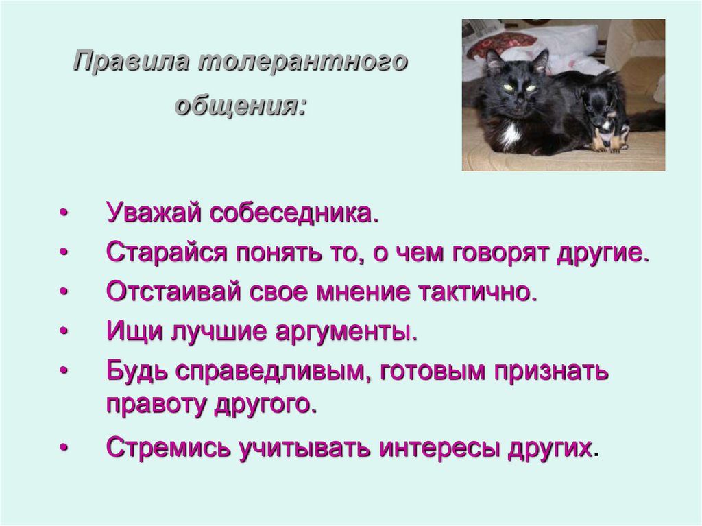 Что такое толерантность Аргументы. Уважай собеседника правила толерантного общения продолжение. Ищи лучшие Аргументы толерантное слово. Толерантный синонимы к слову.