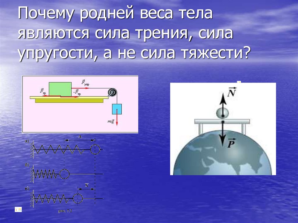 Почему родней веса тела являются сила трения, сила упругости, а не сила тяжести?