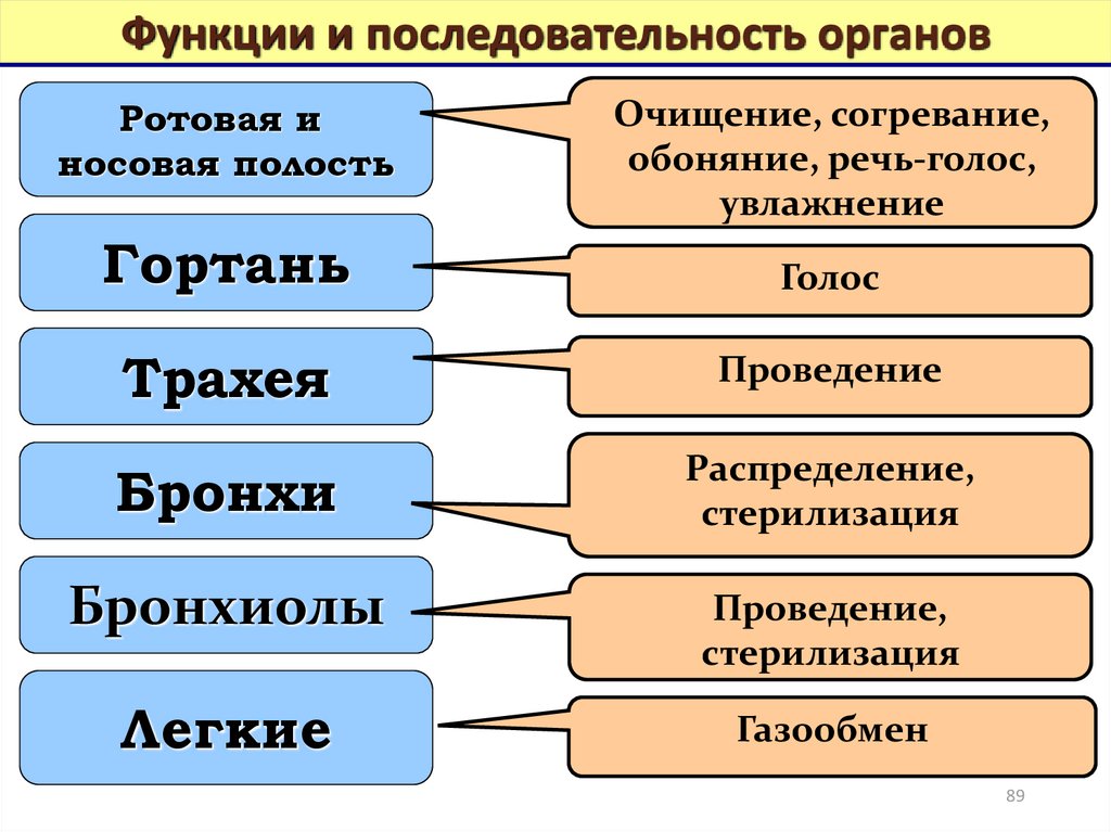 Установите последовательность движения воздуха