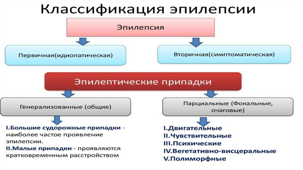 Клиническая картина эпилептического припадка