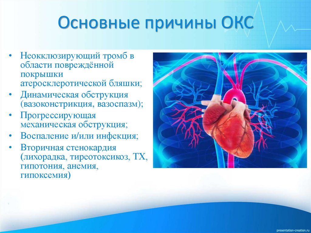 Окс картинки для презентации