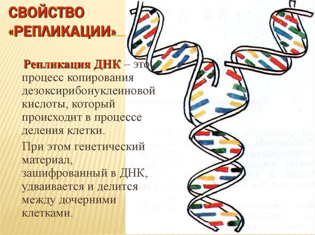 Использование днк как флешки