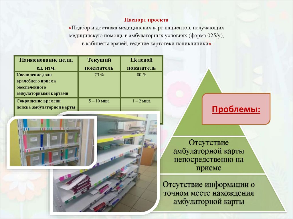 Проект создание новой модели медицинской организации оказывающей первичную медико санитарную помощь