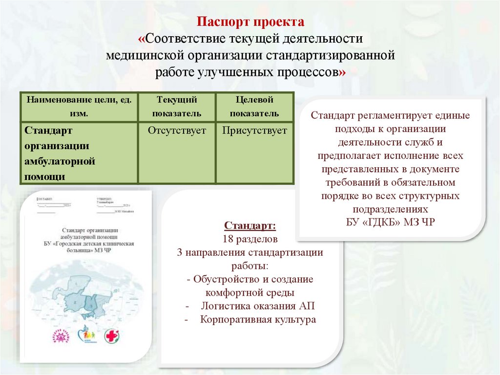 Проект создание новой модели медицинской организации оказывающей первичную медико санитарную помощь