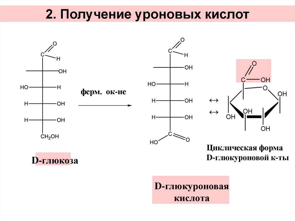 Происходят циклические реакции. Образование глюкуроновой кислоты из Глюкозы реакция. Схема образования d-глюкуроновой кислоты. Синтез глюкуроновой кислоты из Глюкозы. Реакцию получения d-галактуроновой кислоты..