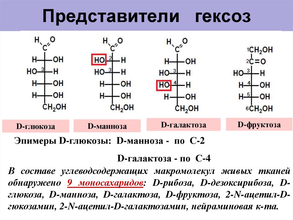 Фруктоза химия 10 класс. Строение Глюкозы, маннозы, галактозы, фруктозы. Функции гексоз. Гексоза формула. D Глюкоза и d манноза.