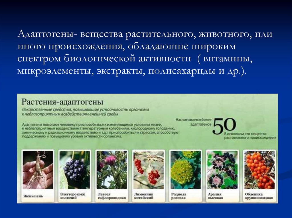 Средства природного происхождения. Адаптогены препараты. Растения адаптогены. Растительные адаптогены препараты. Адаптогены растительного и животного происхождения.