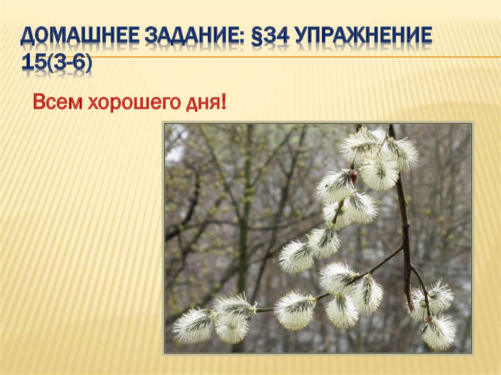 Домашнее задание: §34 Упражнение 15(3-6)