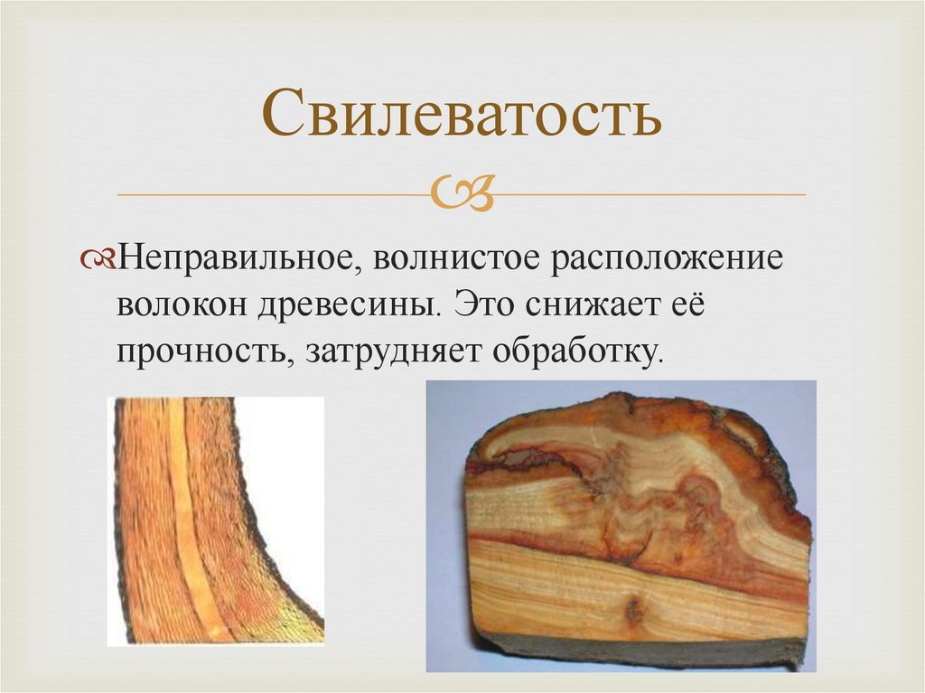 Какая функция у волокон древесины. Порок древесины свиелеватость. Пороки строения древесины косослой. Заготовка древесины пороки древесины. Пороки древесины 6 класс.