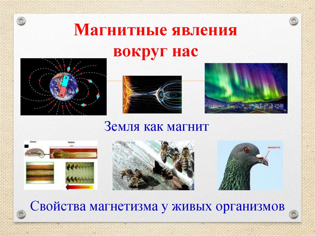 Магнитные явления проект